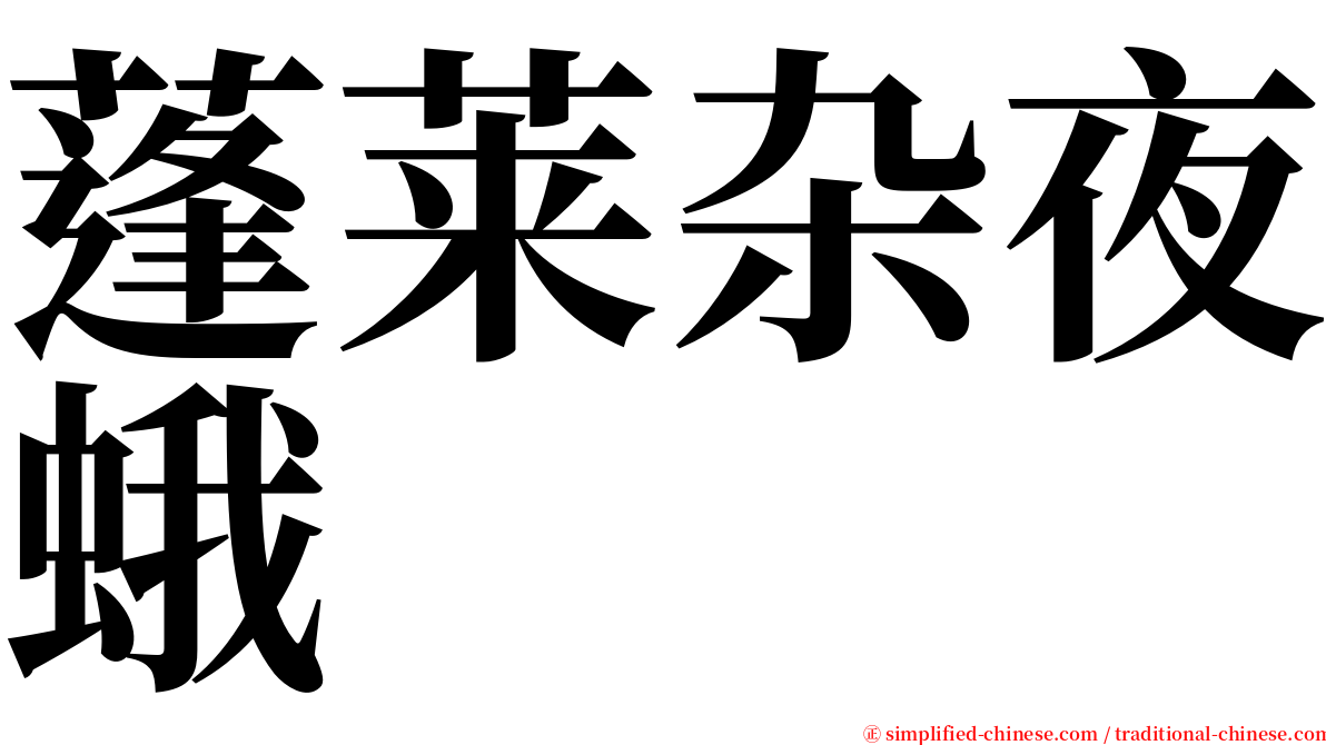 蓬莱杂夜蛾 serif font