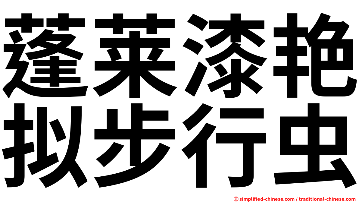蓬莱漆艳拟步行虫