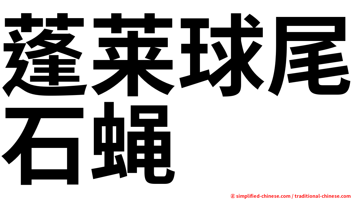 蓬莱球尾石蝇