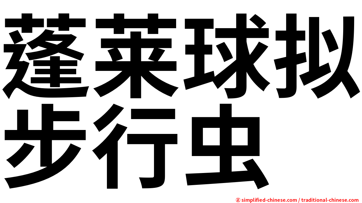 蓬莱球拟步行虫