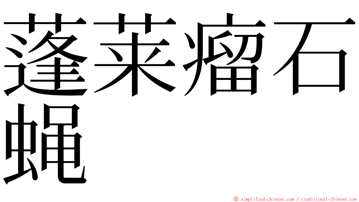 蓬莱瘤石蝇 ming font