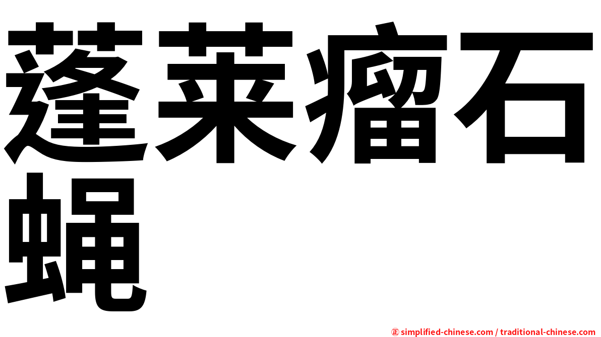 蓬莱瘤石蝇