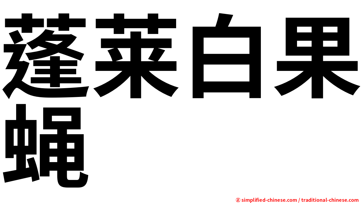 蓬莱白果蝇