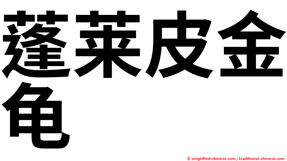 蓬莱皮金龟
