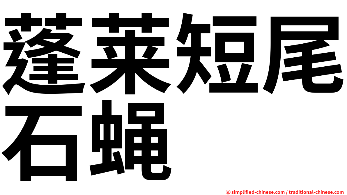 蓬莱短尾石蝇