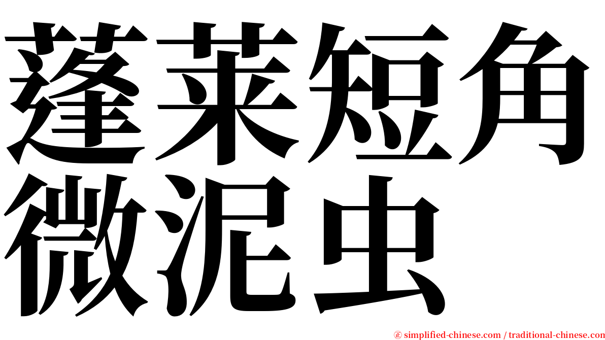 蓬莱短角微泥虫 serif font