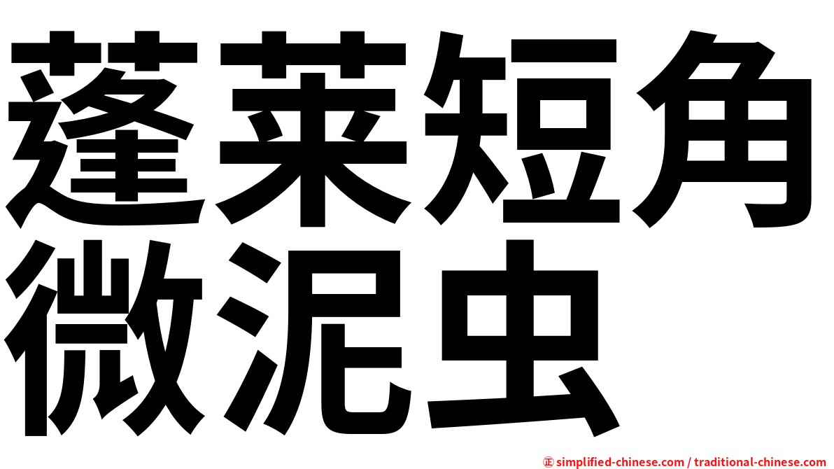 蓬莱短角微泥虫
