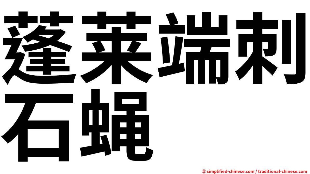 蓬莱端刺石蝇