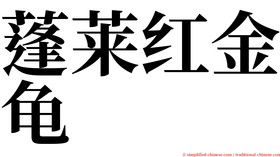 蓬莱红金龟 serif font