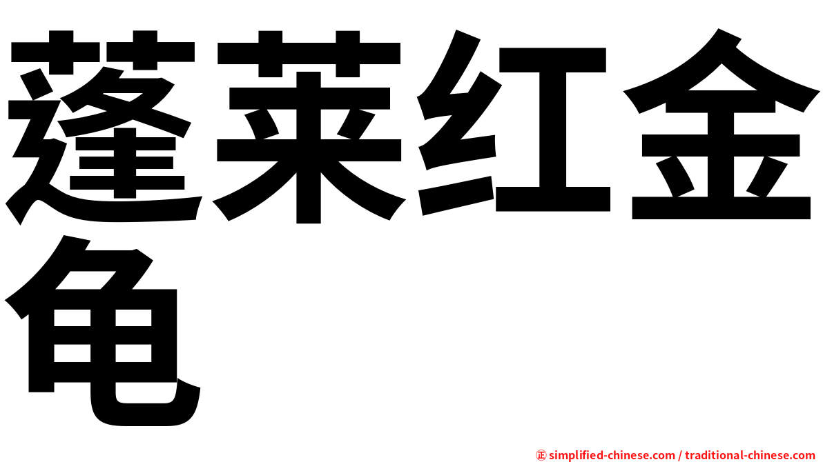 蓬莱红金龟