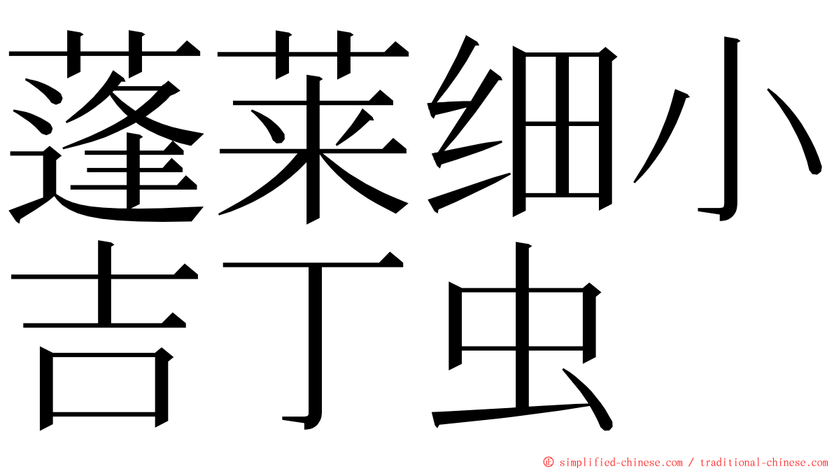 蓬莱细小吉丁虫 ming font