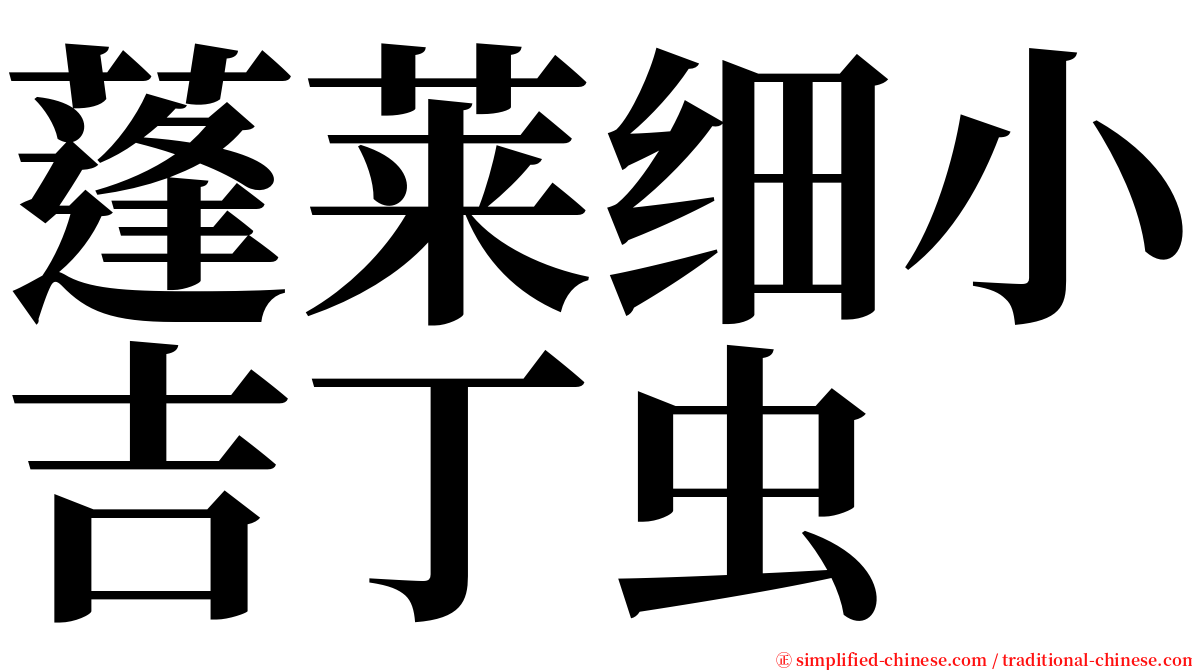 蓬莱细小吉丁虫 serif font