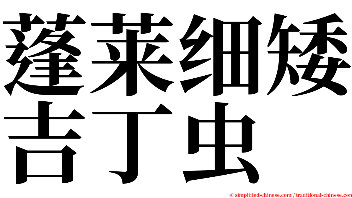 蓬莱细矮吉丁虫 serif font