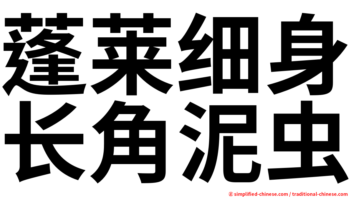 蓬莱细身长角泥虫