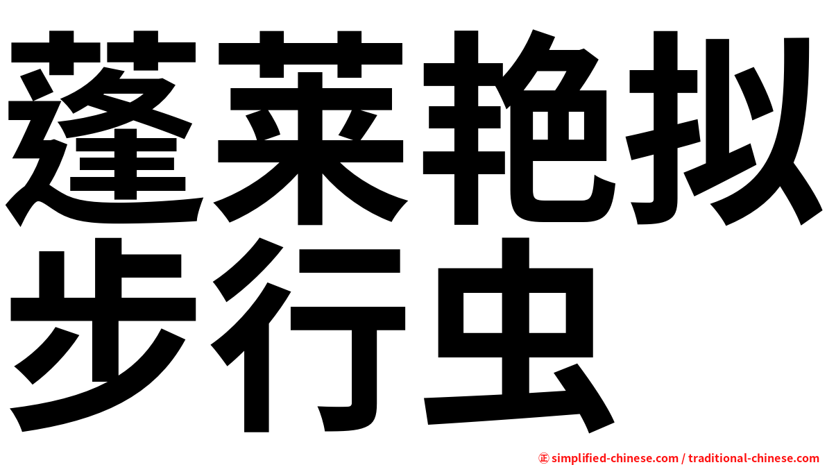 蓬莱艳拟步行虫