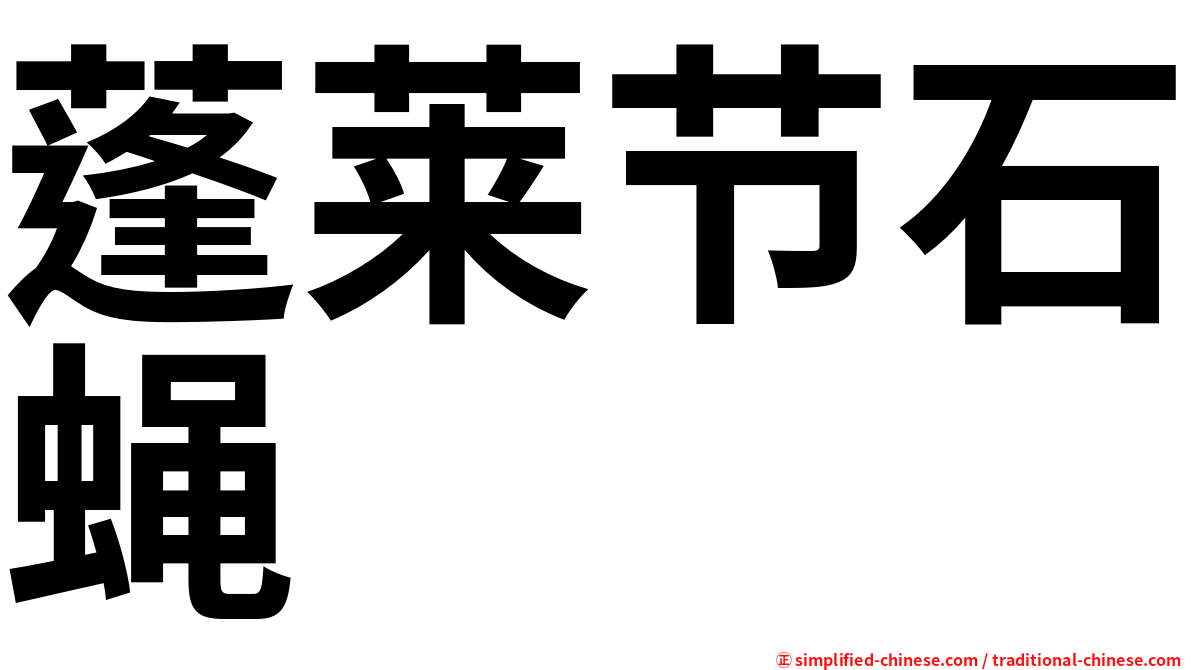蓬莱节石蝇
