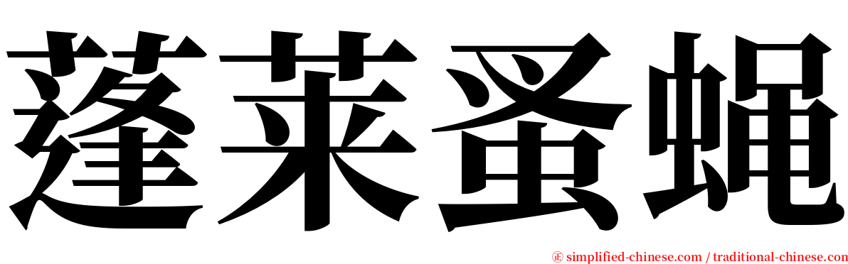 蓬莱蚤蝇 serif font