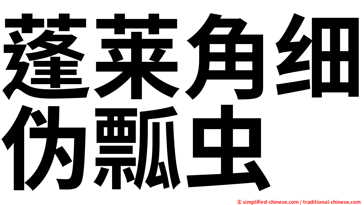 蓬莱角细伪瓢虫