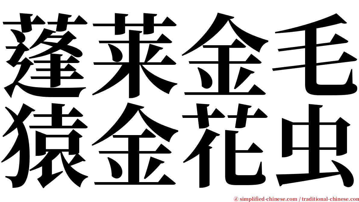 蓬莱金毛猿金花虫 serif font