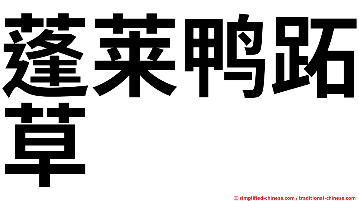 蓬莱鸭跖草