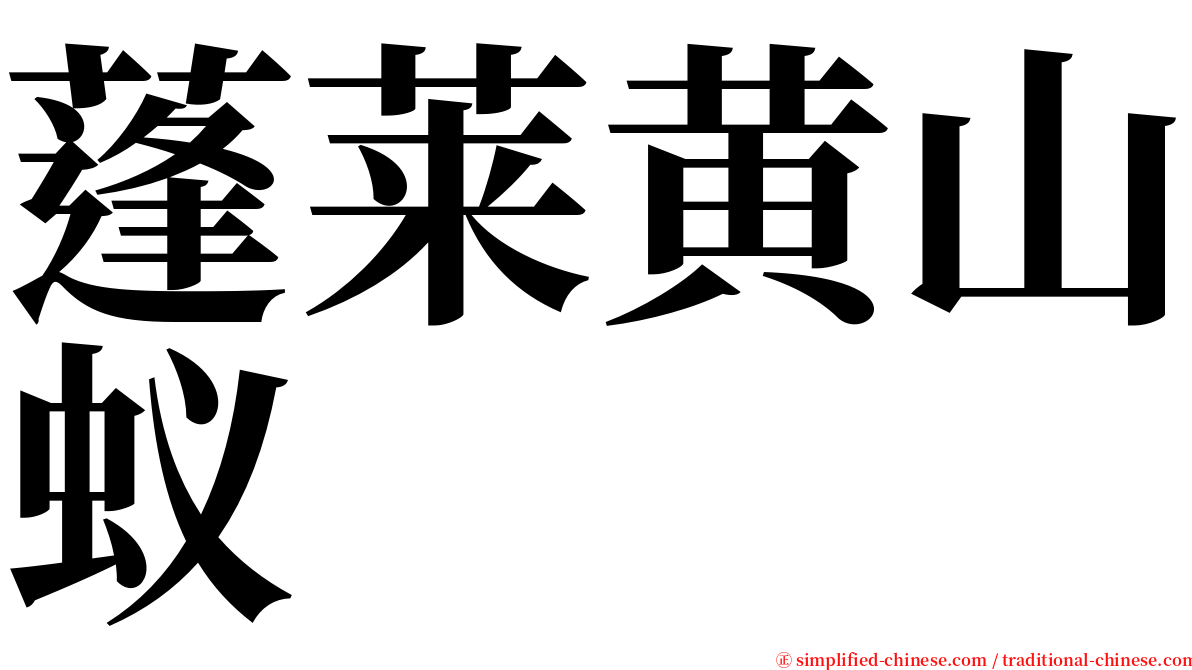 蓬莱黄山蚁 serif font