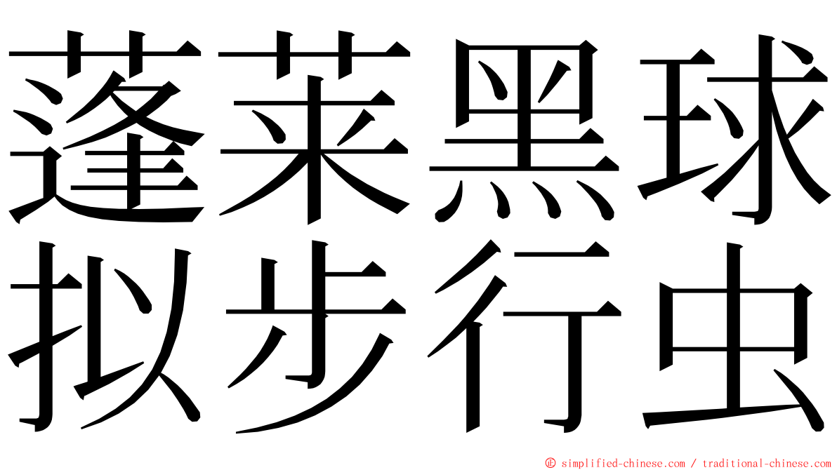 蓬莱黑球拟步行虫 ming font