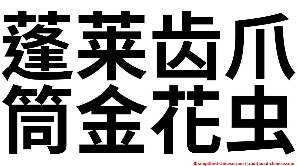 蓬莱齿爪筒金花虫