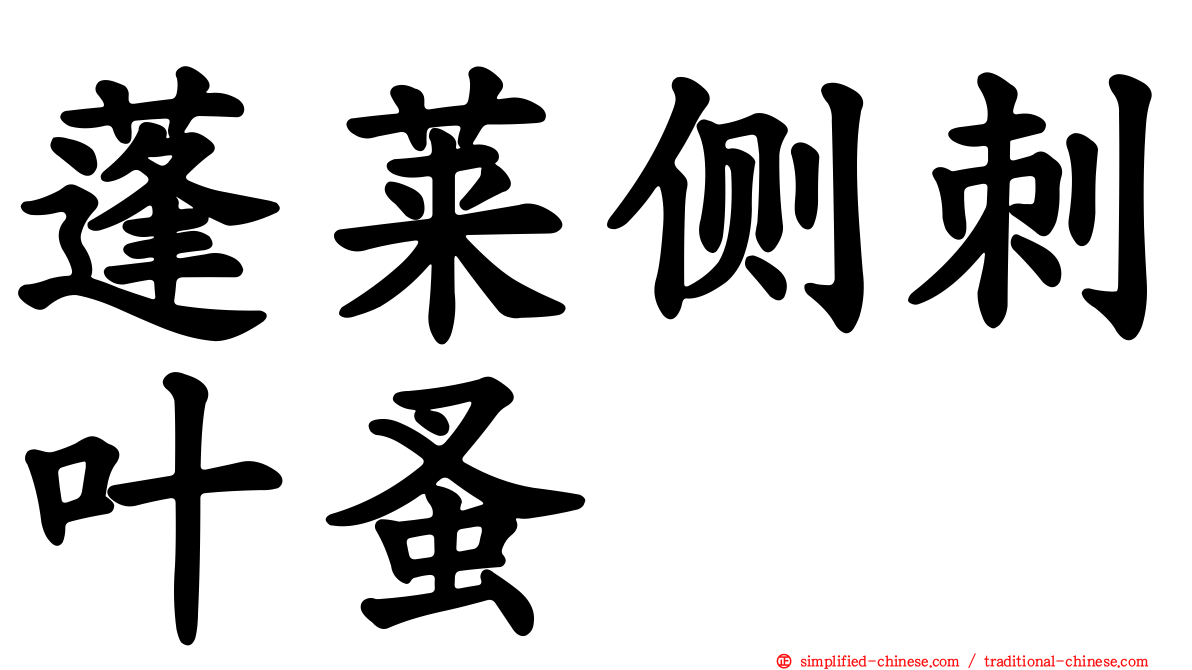 蓬莱侧刺叶蚤