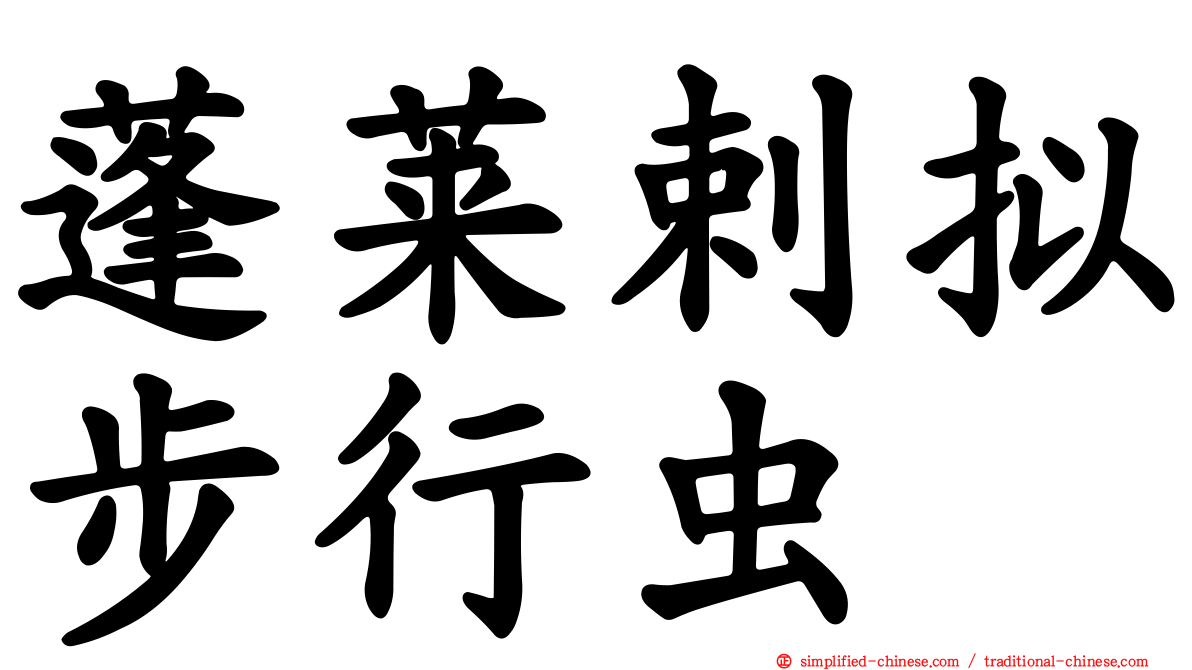 蓬莱剌拟步行虫