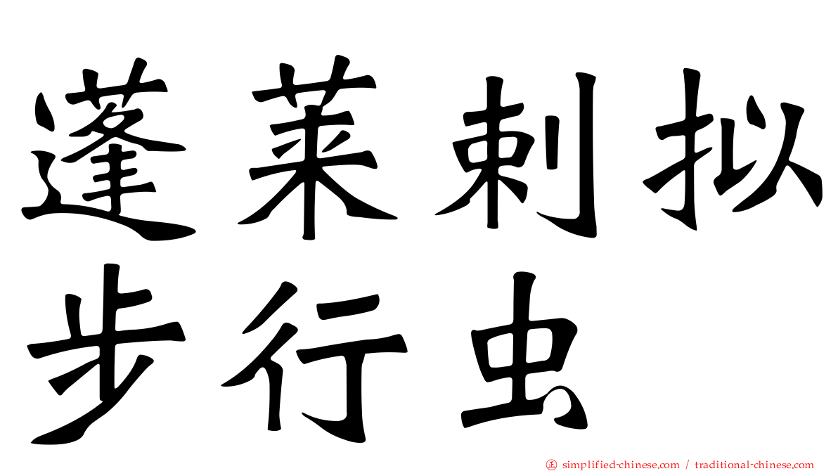 蓬莱剌拟步行虫