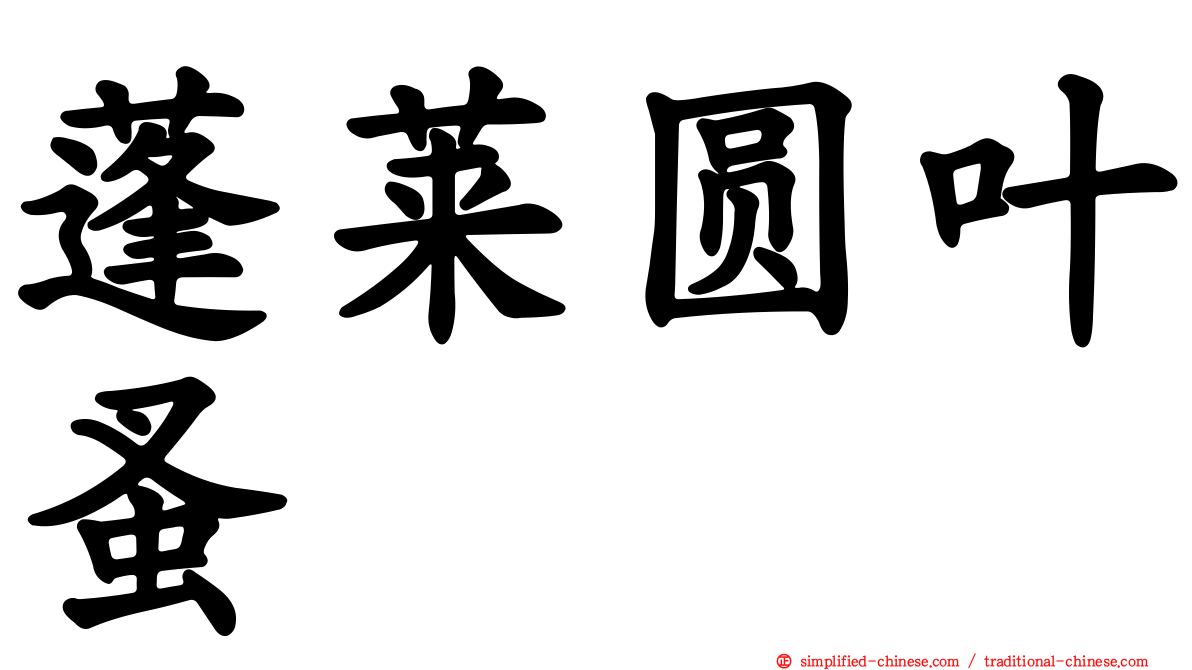蓬莱圆叶蚤