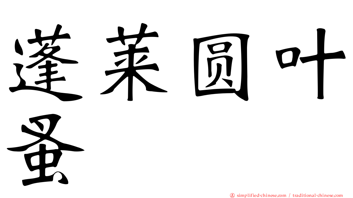 蓬莱圆叶蚤