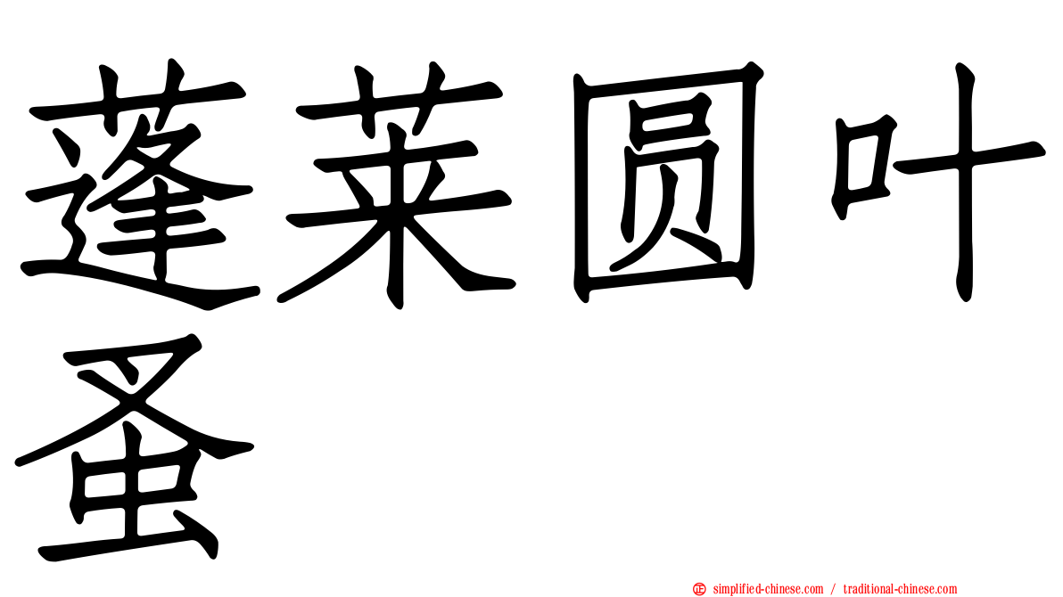 蓬莱圆叶蚤