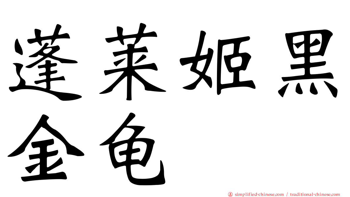 蓬莱姬黑金龟