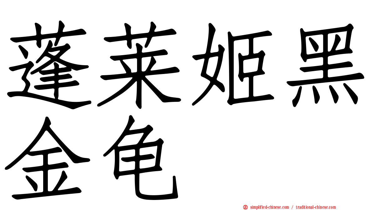 蓬莱姬黑金龟