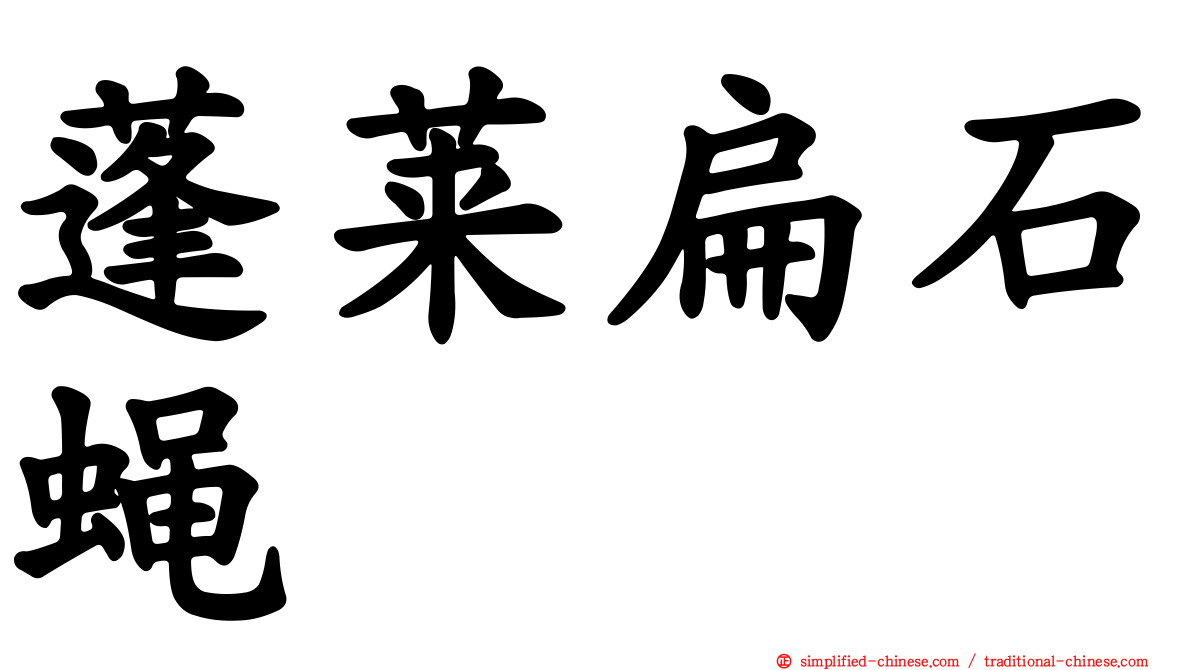 蓬莱扁石蝇