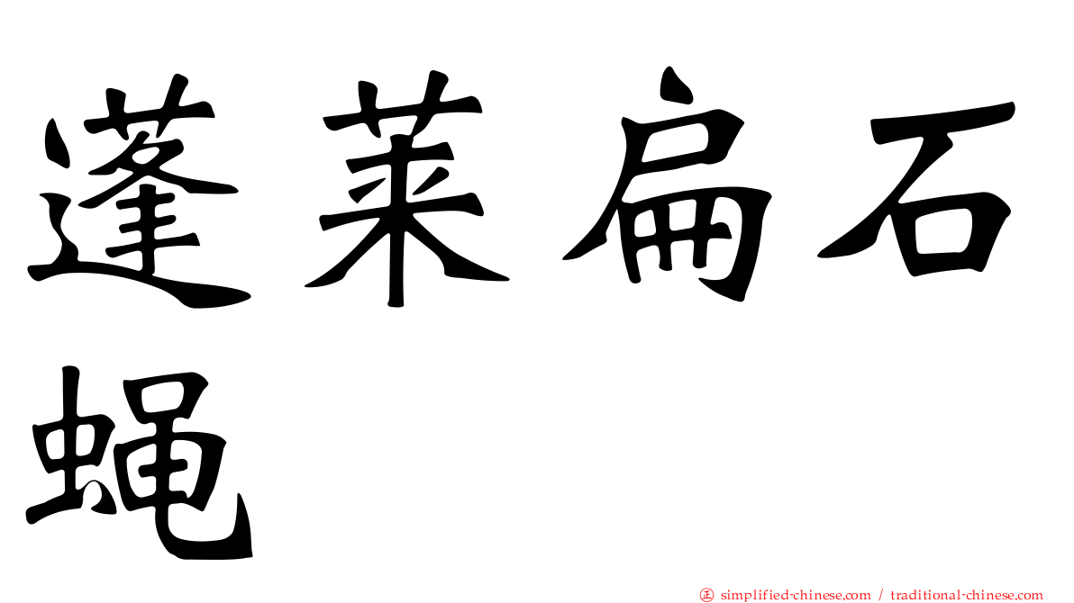 蓬莱扁石蝇