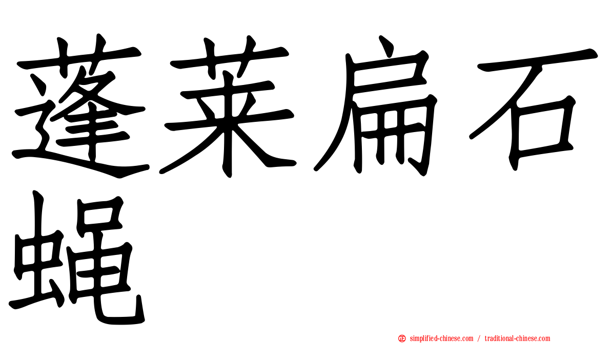 蓬莱扁石蝇