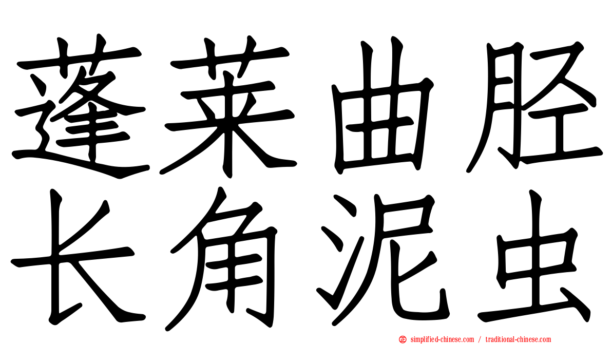 蓬莱曲胫长角泥虫