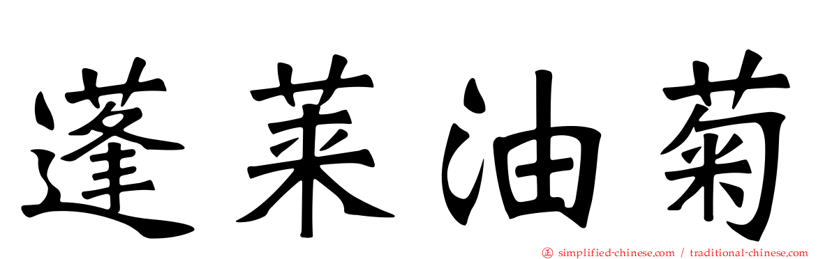蓬莱油菊