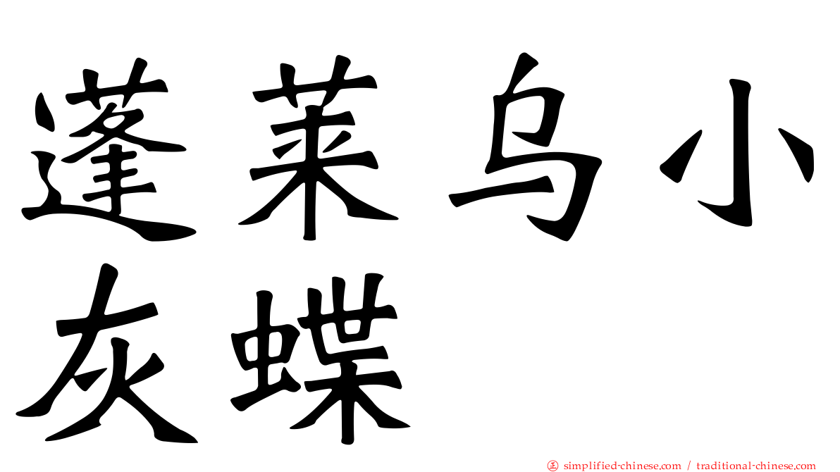 蓬莱乌小灰蝶