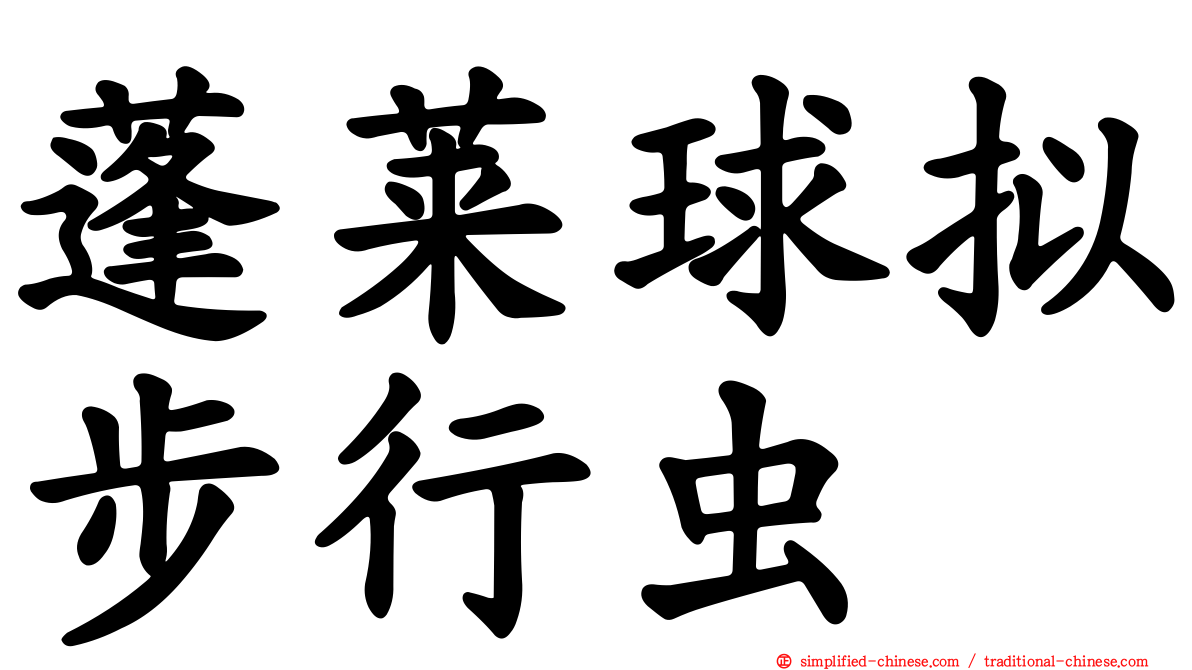 蓬莱球拟步行虫