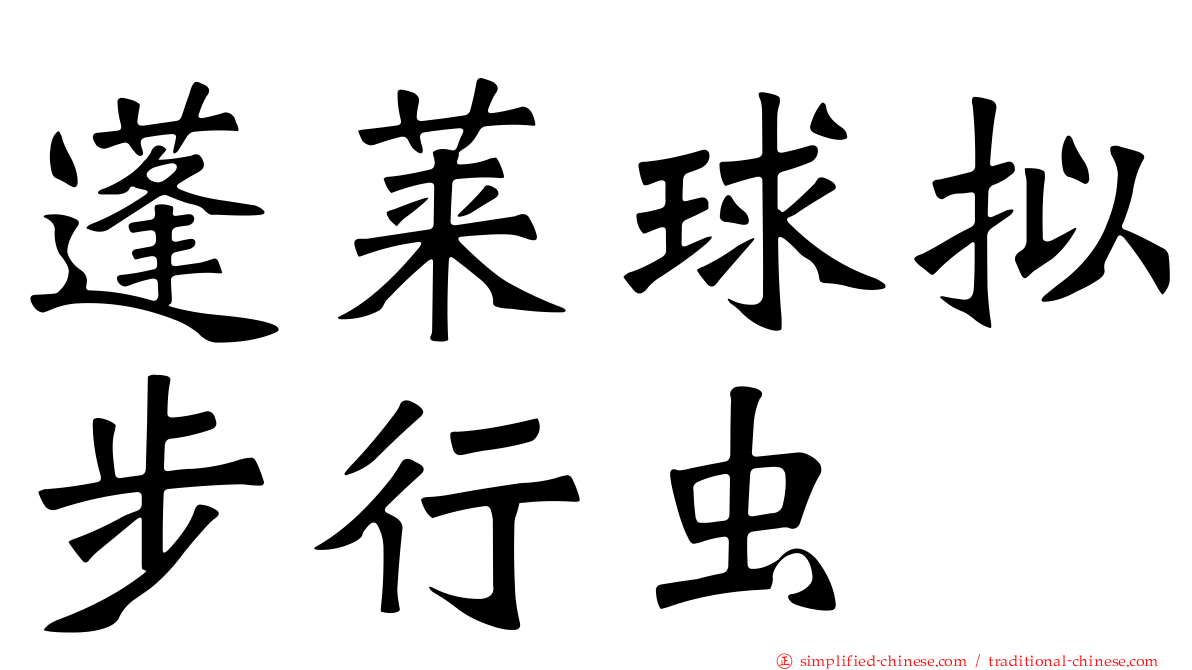 蓬莱球拟步行虫