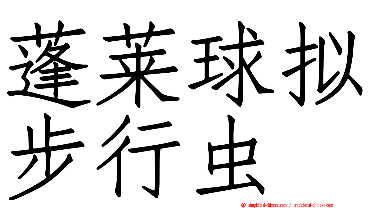 蓬莱球拟步行虫