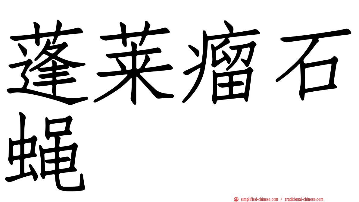 蓬莱瘤石蝇