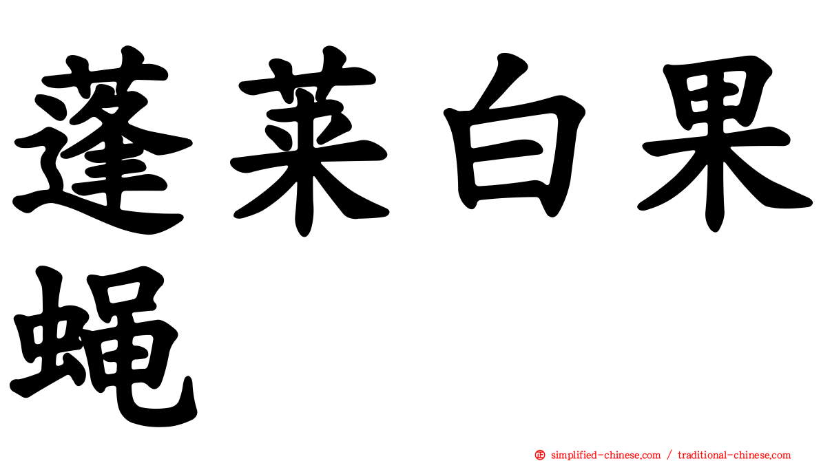 蓬莱白果蝇