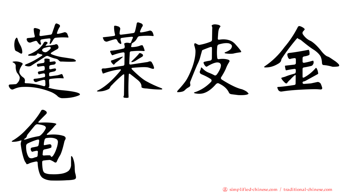 蓬莱皮金龟