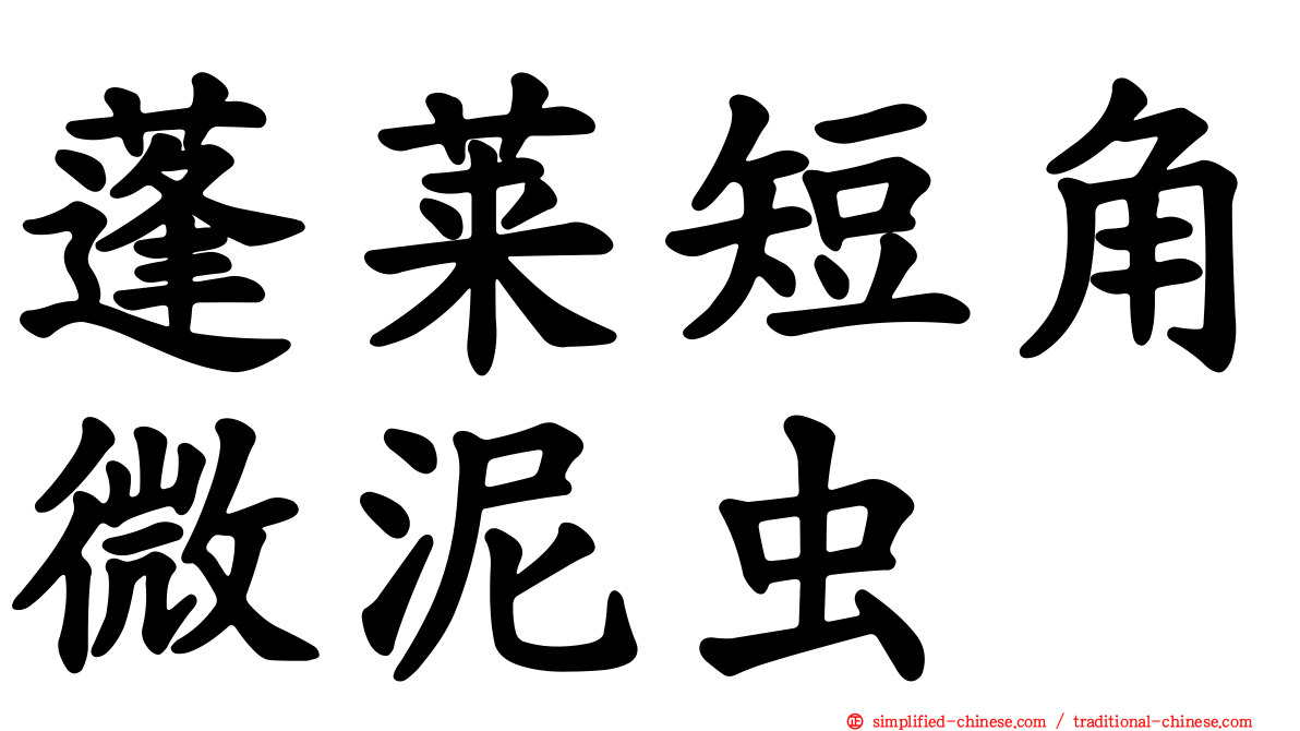 蓬莱短角微泥虫