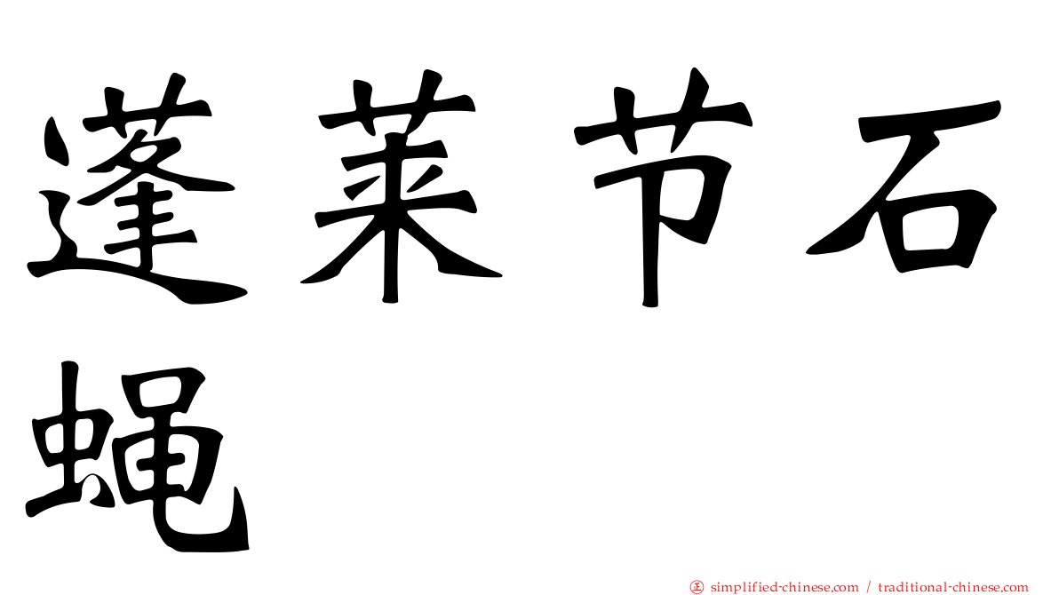 蓬莱节石蝇