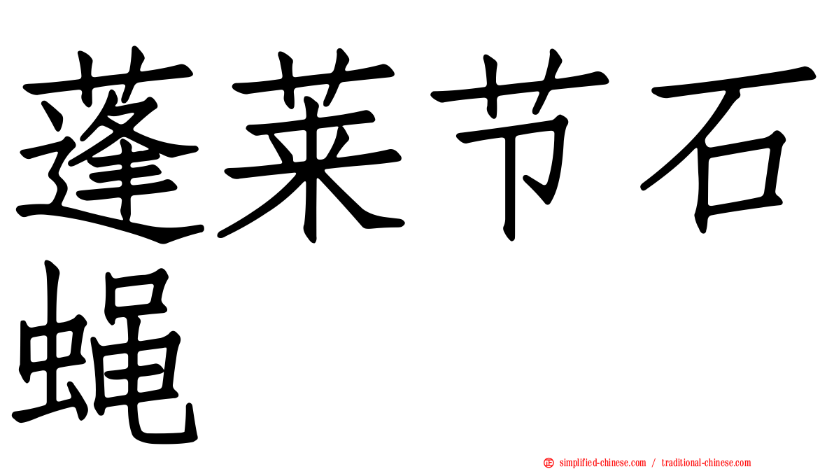 蓬莱节石蝇